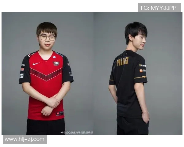 职业联赛分析：RNG选手个人能力的全面评估与表现探讨