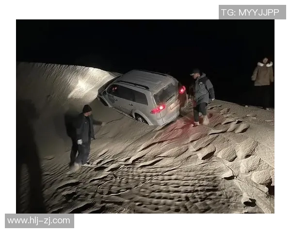 自由泳技术提高计划:从基础动作到高效训练的全面指南 自由泳技术提高计划:从基础动作到高效训练的全面指南