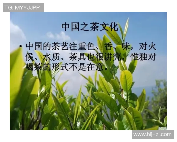 茶叶文化的传承与创新：探索中国茶叶的历史、品种与现代发展之路